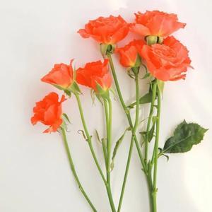 开云体育下载-315曝光的3类黑心酒水，竟还在流通！喝的人要当心